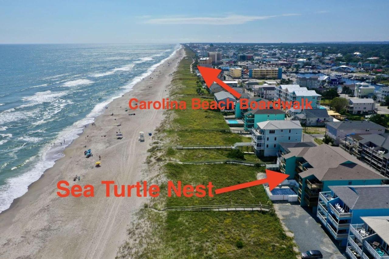 Sea Turtle'S Nest Villa Carolina Beach Eksteriør billede